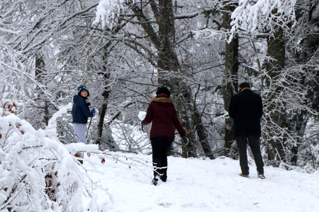 Türkiye karla mücadele ediyor! İşte yağışın etkili olduğu iller