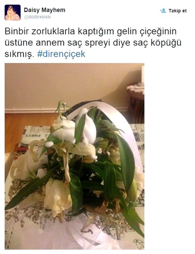 Annelerin Evdeki Eşyaları Acımasız Bir Şekilde Kullandığının 15 Kanıtı