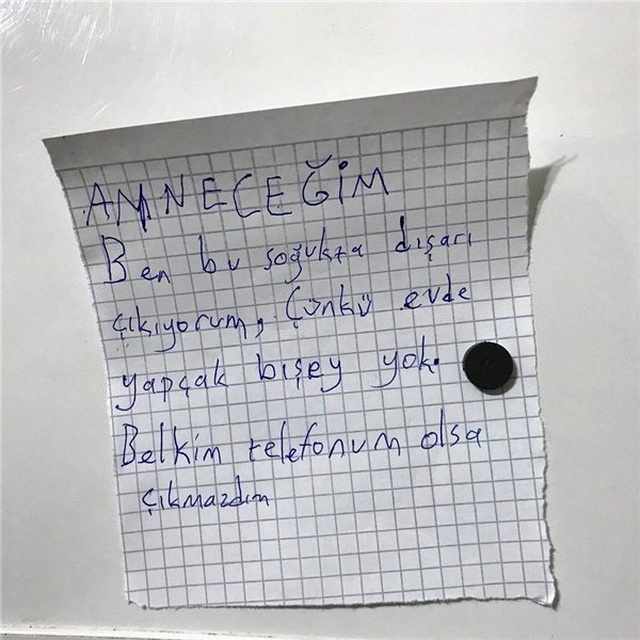 Telefon Aldırmak İçin Her Gün Komik Notlar Bırakan Kardeş