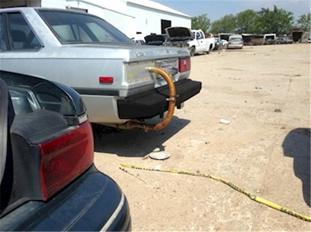 Bakana O Neydi Gız Dedirten 11 Garip Fotoğraf