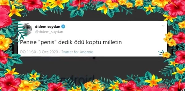 Didem Soydan'dan Twitter'ı Karıştıran Fetiş Açıklaması