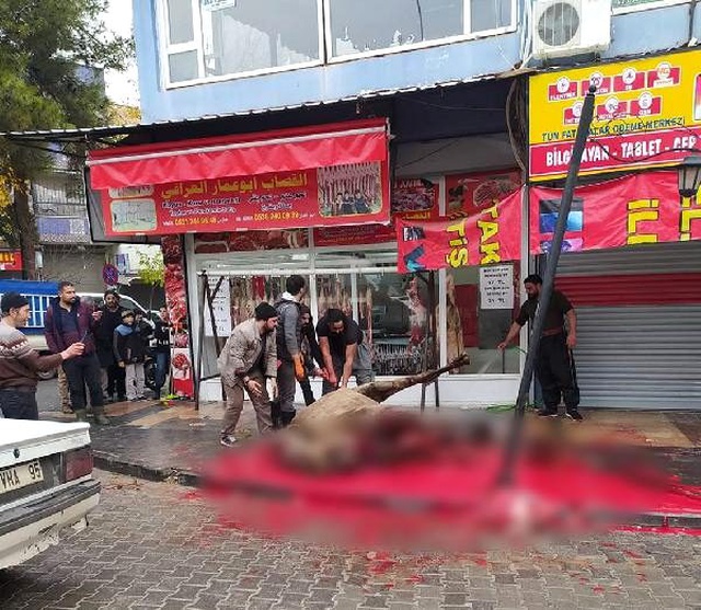 Sokak ortasında deveye yapılan işkence cezasız kalmadı