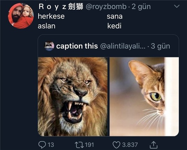 CaptionThis Hesabından Paylaşılan 13 Komik Alıntı