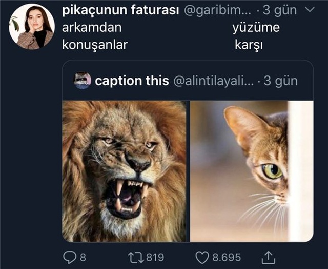 CaptionThis Hesabından Paylaşılan 13 Komik Alıntı