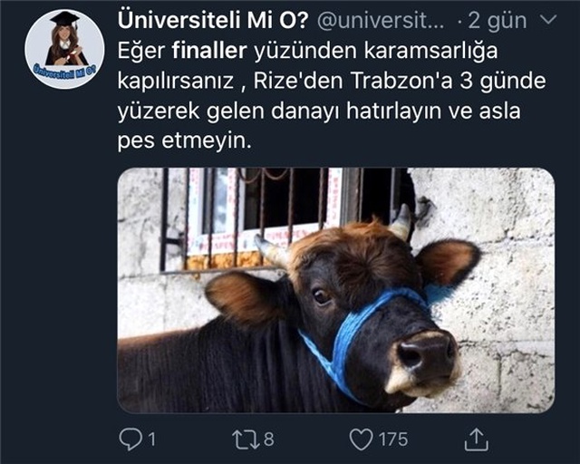 Finalleri Mizahına Konu Etmiş 10 Öğrenci