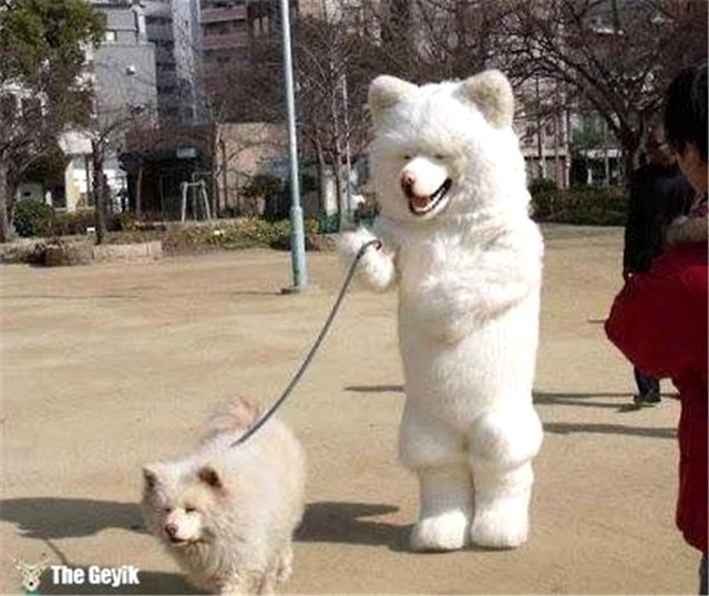 Bu Japonlar Ne Yapıyor Dedirtecek 12 Garip Fotoğraf