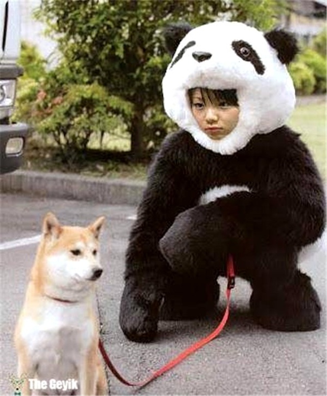 Bu Japonlar Ne Yapıyor Dedirtecek 12 Garip Fotoğraf
