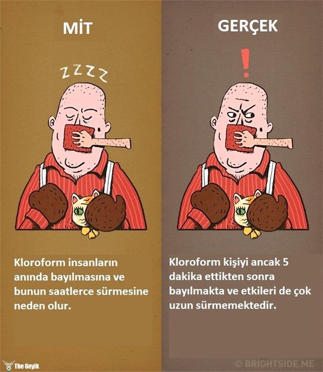Filmlerin Bizi Doğruluğuna İnandırdığı 12 Yaygın Mit