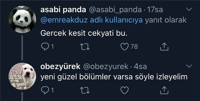Bu Çekyatı Görünce Aklınıza Ne Geliyor Diye Sorulmuş Cevaplar İse Evlere Şenlik