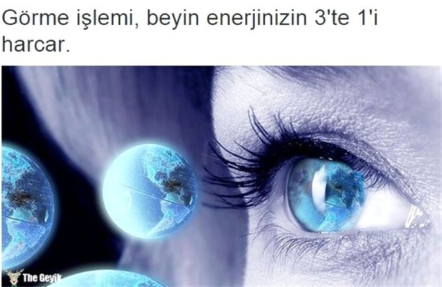 Tuhaf ama gerçek dedirten 15 bilgi