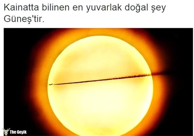 Tuhaf ama gerçek dedirten 15 bilgi