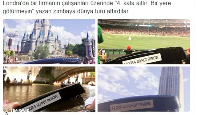 Tuhaf ama gerçek dedirten 15 bilgi
