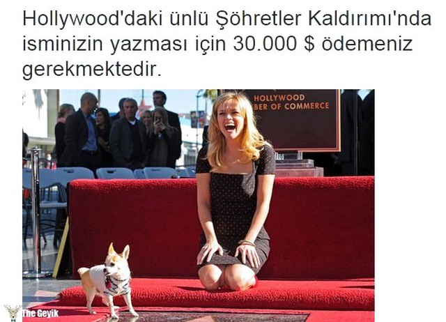 Tuhaf ama gerçek dedirten 15 bilgi
