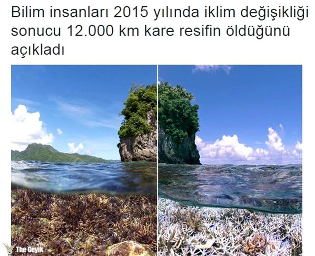 Tuhaf ama gerçek dedirten 15 bilgi