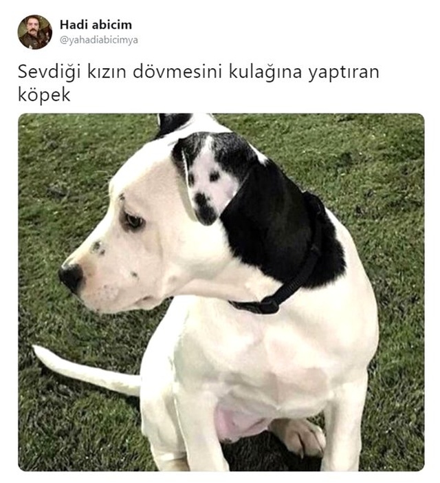 Bu Haftanın En Komik 13 Tweeti