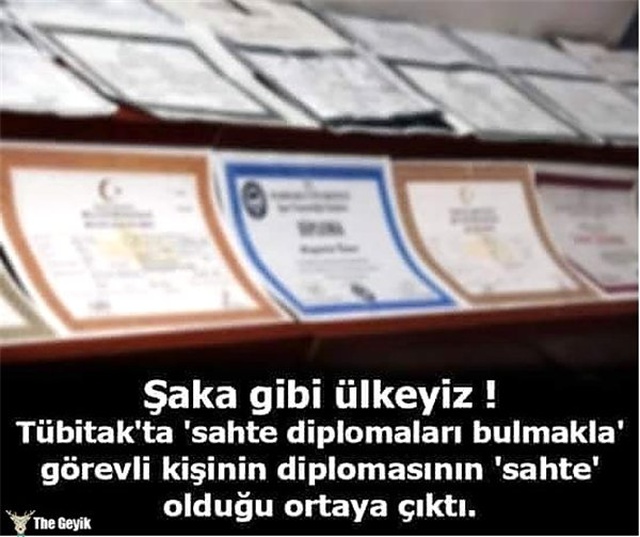 Yalnızca Ülkemizde Karşınıza Çıkabilecek En Sıra Dışı Sosyal Medya Paylaşımları