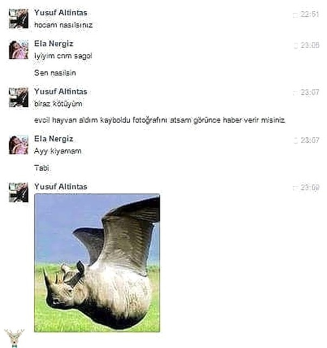 Yalnızca Ülkemizde Karşınıza Çıkabilecek En Sıra Dışı Sosyal Medya Paylaşımları