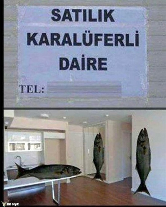 Yalnızca Ülkemizde Karşınıza Çıkabilecek En Sıra Dışı Sosyal Medya Paylaşımları
