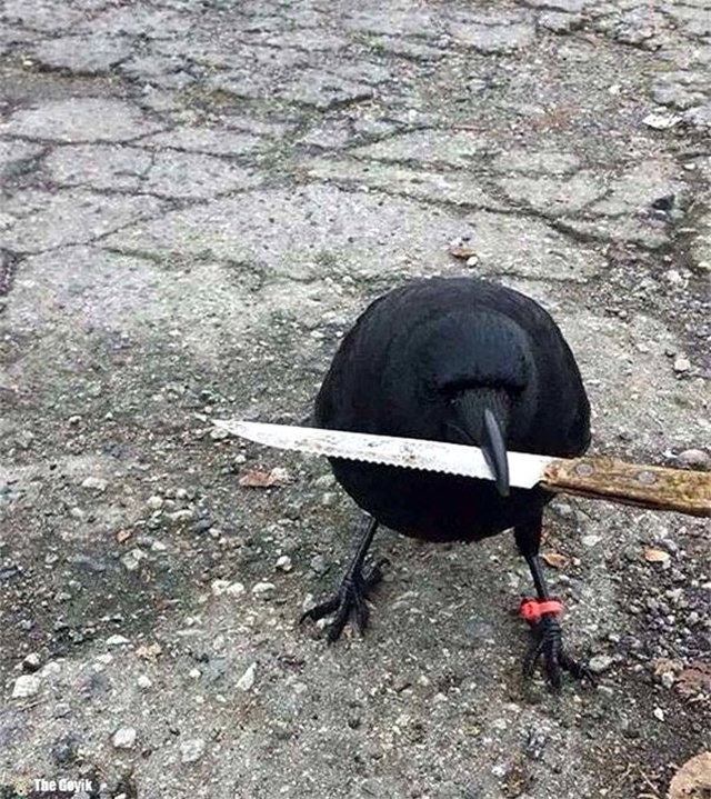 Kargaların Gangster Gibi Takıldığını Kanıtlayan 12 Kare