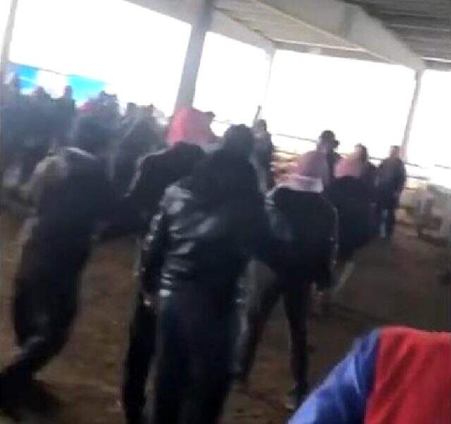 Sokak ortasında deve kesen kasap, bu kezde tekmeli, yumruklu, sopalı kavgayla gündeme geldi