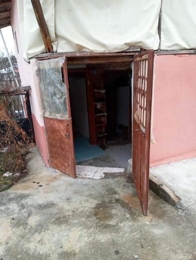 Köpeği öldürüp, yazlık evlerden vurgun yaptılar