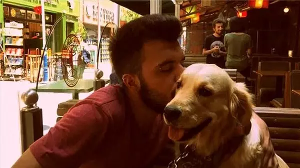 Eski Sevgililerin Paylaşılamayan Köpek Davası Sonuçlandı