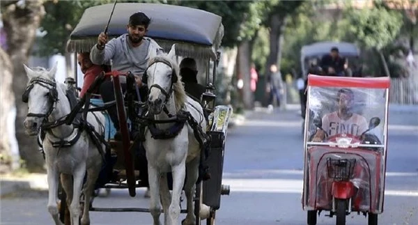 İBB Faytonlar Hakkında Kararını Verdi