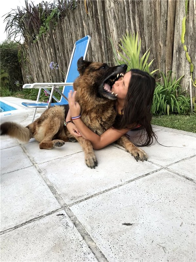 Köpeğiyle Fotoğraf Çektirmeye Çalışan Kızın Kötü Sonu (+18)