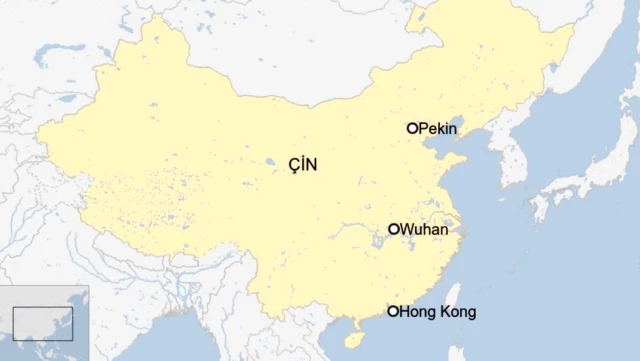Çin'de ortaya çıkan yeni virüs hakkında neler biliniyor? Corona virüsü hayvan barınaklarında mı geçti ? Neden Çin ?