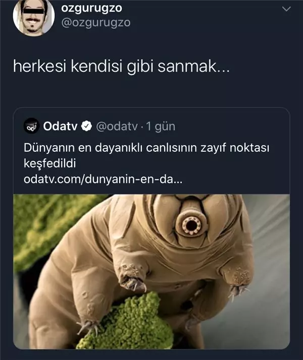 Haftanın İlk Gününü Gülerek Bitirmenizi Sağlayacak 10 Tweet