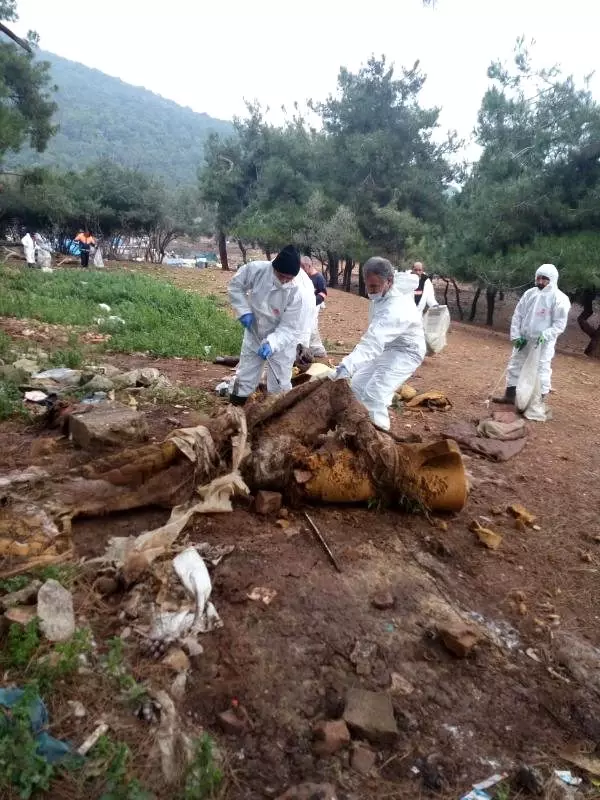 Adalar'daki fayton temizliğinde 25 ton atık çıkarıldı