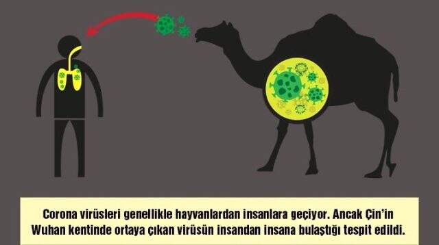 17 kişinin hayatına mal olan corona virüsünün yarasa çorbasından bulaştığı iddia edildi