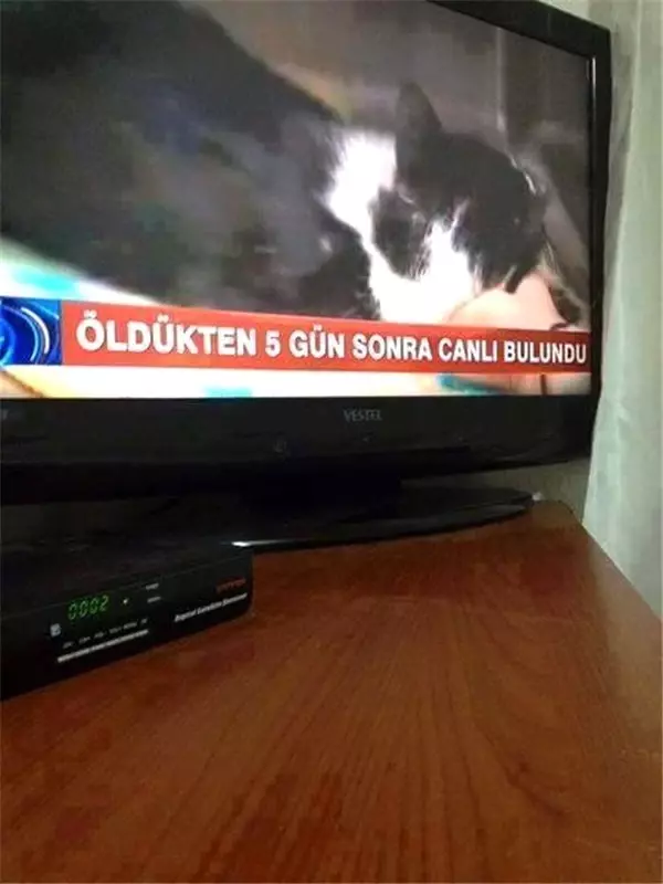 Sadece Türkiye'de Karşılaşabileceğiniz 22 Garip Haber ve Olay