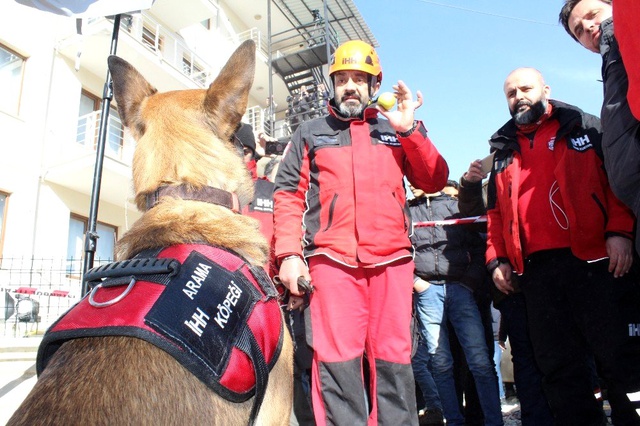 Elazığ depreminde Dilek Apartmanı'nda 5 kişiye arama köpeği Altar sayesinde ulaşıldı