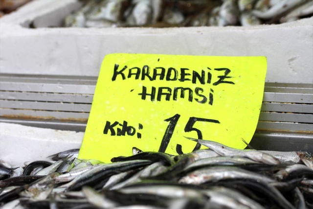 Havaların ısınmasıyla hamsinin fiyatı yüzde 25 düştü