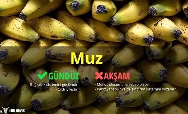 Mutluluğun Sırrı Bağırsaklarınızda Saklı