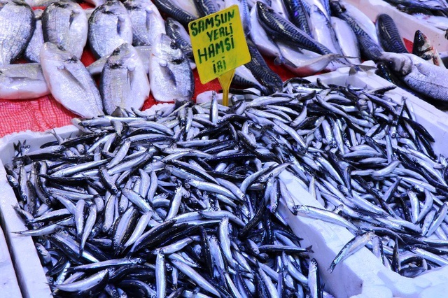 Hamsinin fiyatı 20 TL'den 12 TL'ye düşünce vatandaşlar balıkçılara koştu