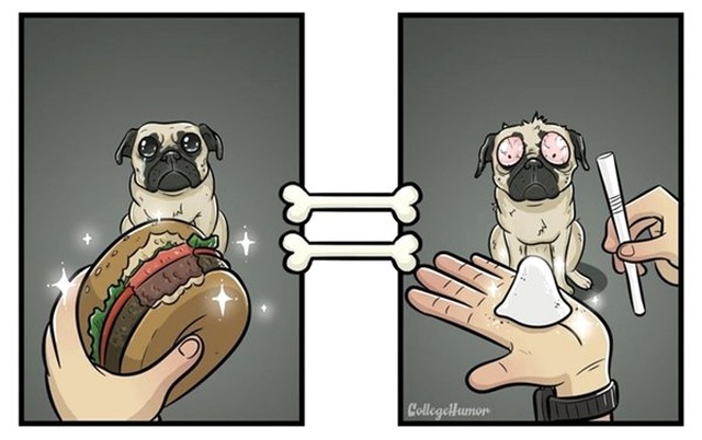 Köpeklerin Dünyayı Nasıl Gördüğünü Özetleyen İllüstrasyonlar