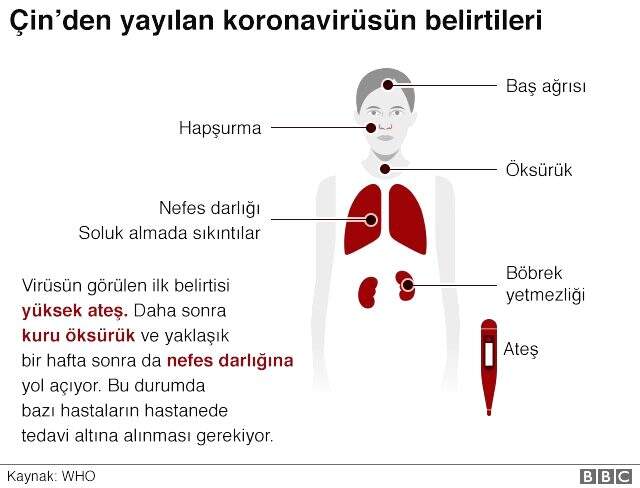 Son dakika: Koronavirüs sebebi ile ölen kişilerin sayısı 362'ye ulaştı