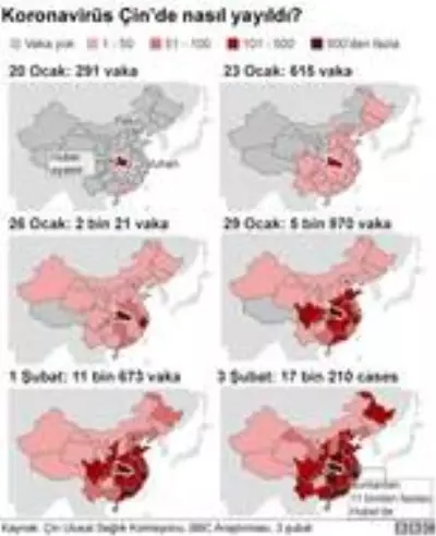 Koronavirüsle mücadele konusunda yetersiz olduğunu kabul eden Çin, yasa dışı yaban hayvan ticaretini yasakladı