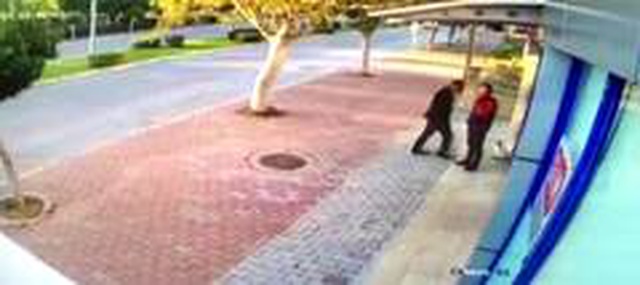Mama bırakılmasına tepki gösteren apartman sahibi, kedileri tekmeledi!