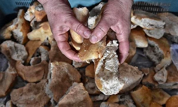 Türkiye'de ekmek israfı nedeniyle her yıl 1,5 milyar dolar çöpe gidiyor