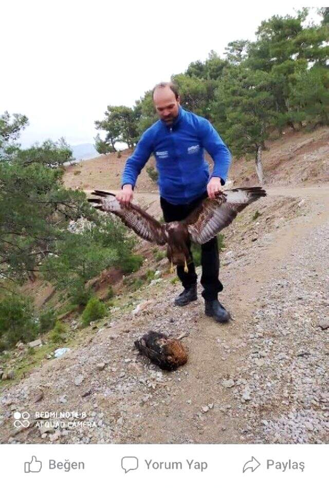 Kaçak avladığı şahinin fotoğrafını sosyal medyada paylaşınca 12 bin lira ceza aldı