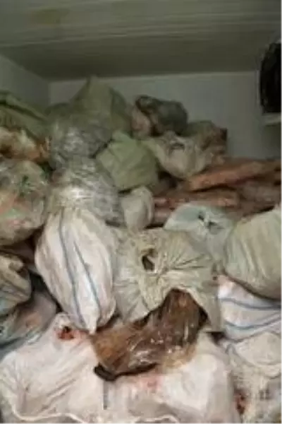 İzmir'deki baskında kaçak sakatat ve pişmiş kelle ele geçirildi