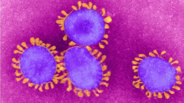 Koronavirüs testleri ne kadar güvenilir?