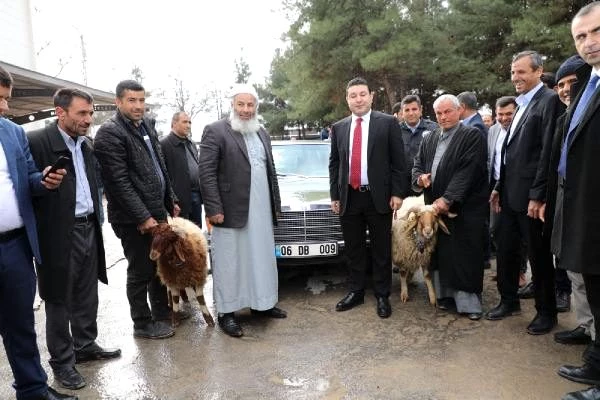Devlet Bahçeli'nin hediye ettiği otomobil, Harran'da kurban kesilerek karşılandı