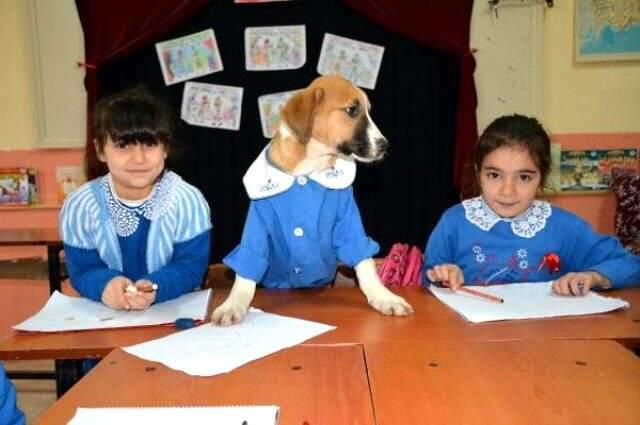 Köy okulunun maskotu olan köpek Fındık rahatsızlandı