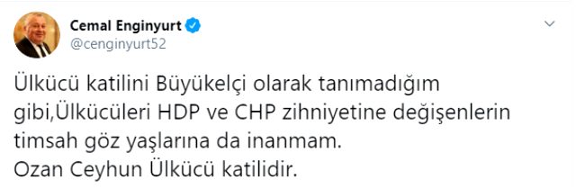 Bahçeli, Ozan Ceyhun'un Büyükelçi olarak atanmasını eleştiren MHP'lilere sert çıktı