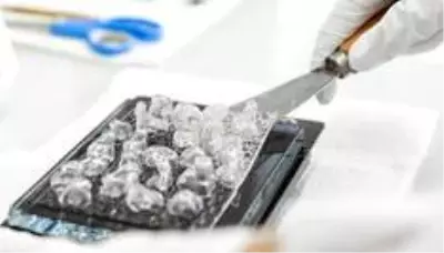 Üç boyutlu yazıcılar hangi alanlarda kullanılıyor?