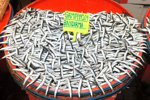 Hamsinin fiyatı 35 lira ile rekor kırdı